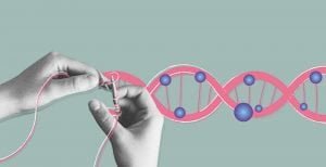Methyl hóa của cơ thể