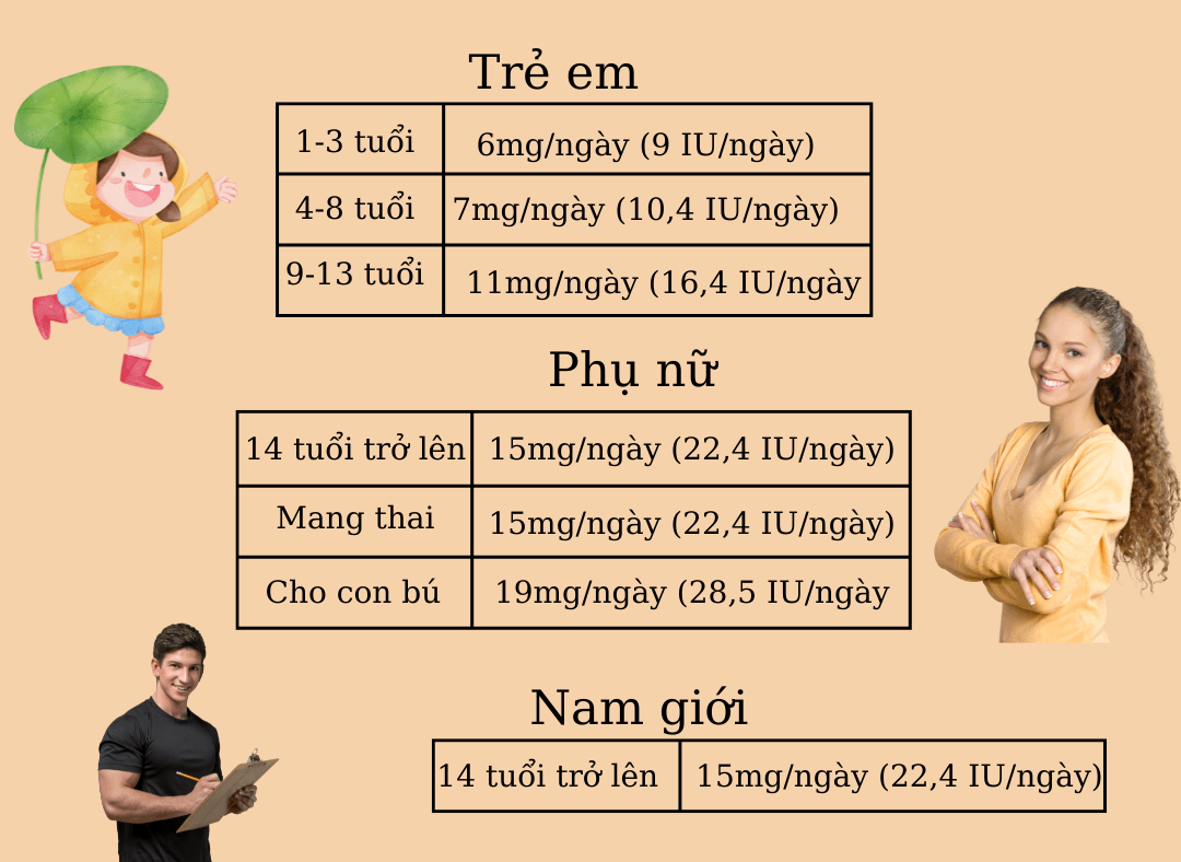 Nhu cầu Vitamin E hàng ngày của cơ thể