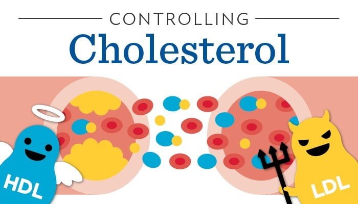 Tất tần tật về công dụng của Vitamin E với cơ thể 8 Vitamin E giúp cân bằng Cholesterol