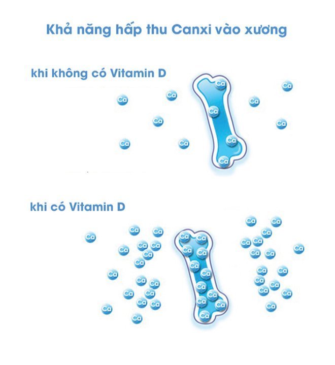 Vitamin D giúp phát triển xương