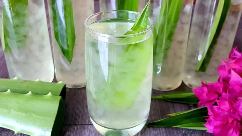 Uống nước gì tốt cho tóc? 5 loại đồ uống giúp tóc khỏe đẹp 5 Nước nha đam chứa nhiều các loại vitamin và khoáng chất, chất chống oxy hóa