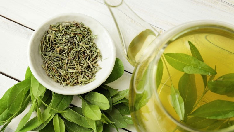 Uống nước gì tốt cho tóc? 5 loại đồ uống giúp tóc khỏe đẹp 3 Nước trà xanh là một thức uống giúp cung cấp những chất chống oxy hóa cho mái tóc