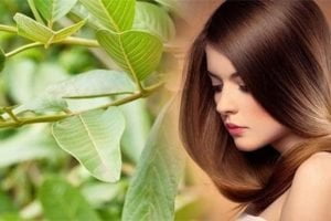 cach-chua-rung-toc-tu-nhien