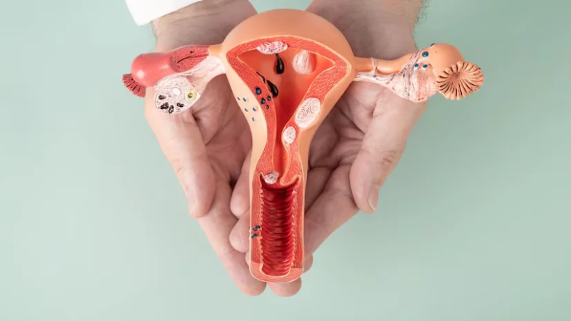 Giảm bớt nhiễm trùng âm đạo là một trong những công dụng phổ biến của các lợi khuẩn có lợi