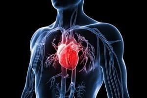 cach cham soc suc khoe tim mach 10 2