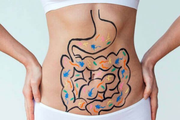 Top 11 sản phẩm bổ sung lợi khuẩn hiệu quả nhất hiện nay 2 Lợi khuẩn là gì?