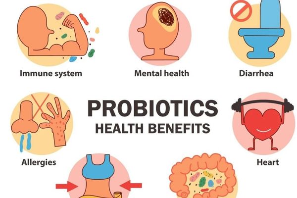 Công dụng của Probiotic trong việc điều trị các bệnh lý tiêu hóa 