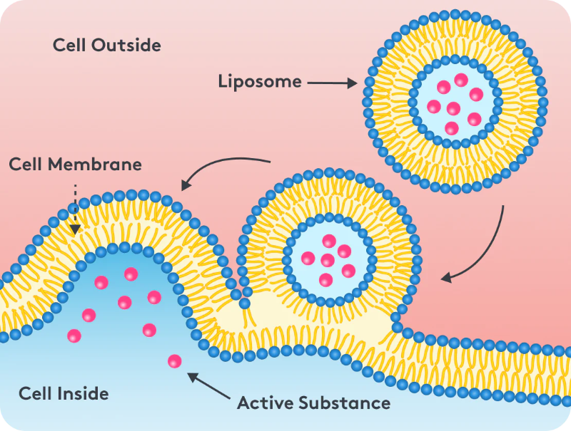5 ưu điểm vượt trội của công nghệ Liposome
