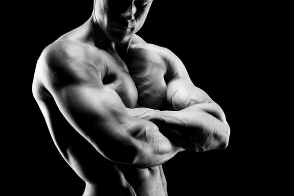 Nguyên lý hoạt động và phát triển của cơ bắp trên cơ thể