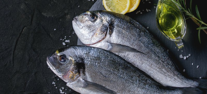 Collagen peptides được làm từ cá