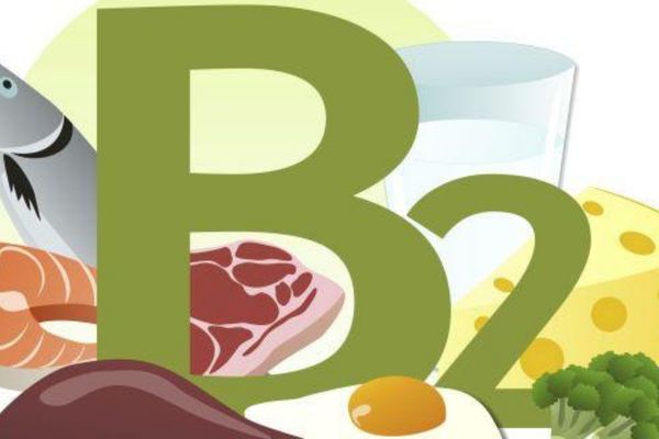 Thiếu vitamin B2 gây bệnh gì?