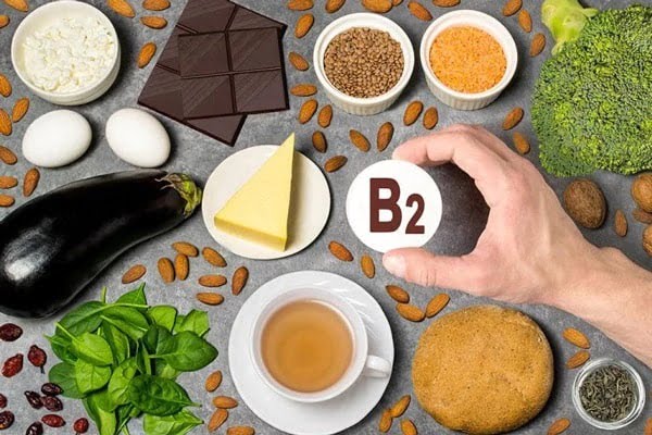 Vitamin B2 có tác dụng gì?