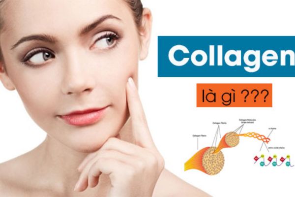 Collagen là gì?