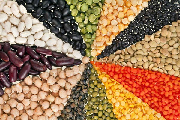Một số loại đậu cung cấp protein dồi dào