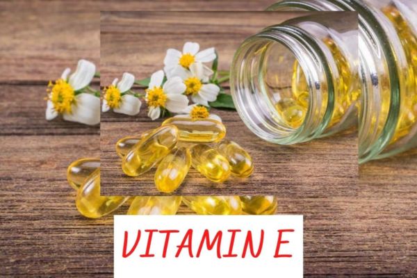 Top 10+ thực phẩm giúp bổ sung vitamin E cho cơ thể 1 vitamin e có trong thực phẩm nào?