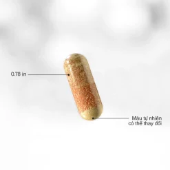 codeage methylfolate b complex thành phẩm