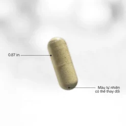 TPBVSK Skin Probiotic 2 codeage skin probiotic thành phẩm