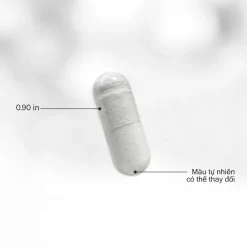 codeage amen collagen thành phẩm