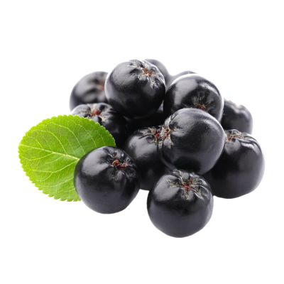 chiết xuất aronia berry