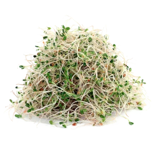 chiet xuat co linh lang