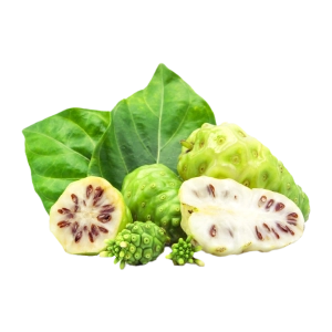 chiet xuat trai nhau