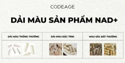 Dải màu sản phẩm NAD+