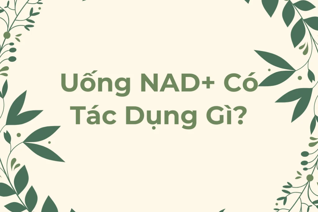 Uống NAD+ Có Tác Dụng Gì?
