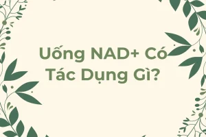 Uống NAD+ Có Tác Dụng Gì?