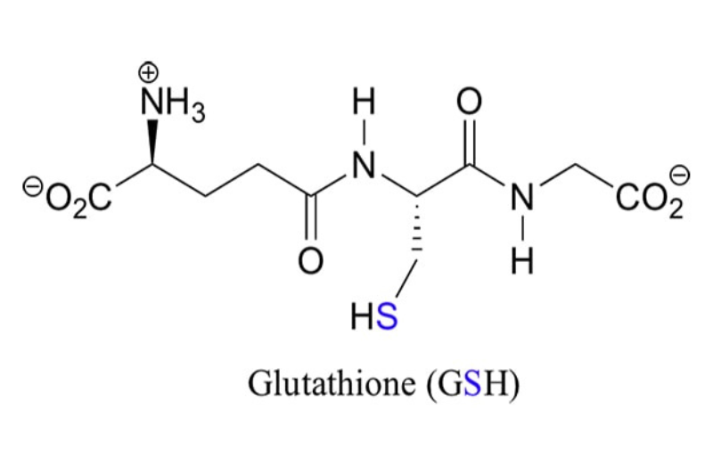 Reduced Glutathione (GSH)