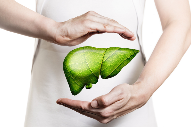 Hỗ trợ thải độc và bảo vệ gan