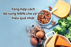 Tổng hợp cách bổ sung NMN cho cơ thể hiệu quả nhất