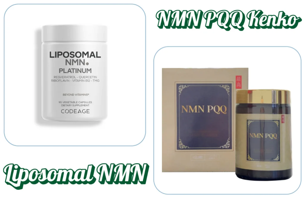 Liposomal NMN va NMN PQQ
