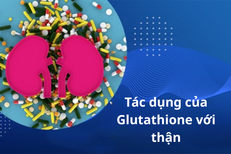Tìm hiểu vai trò của Glutathione đối với sức khỏe thận 2 Tác dụng của Glutathione với thận
