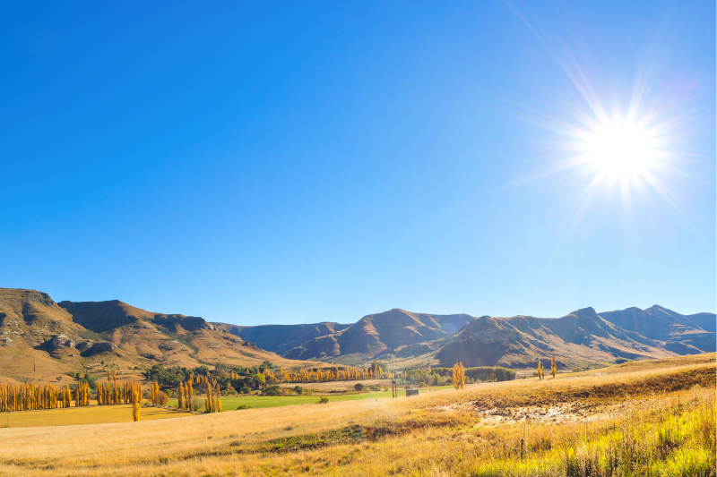 Ánh nắng mặt trời gay gắt những ngày hè