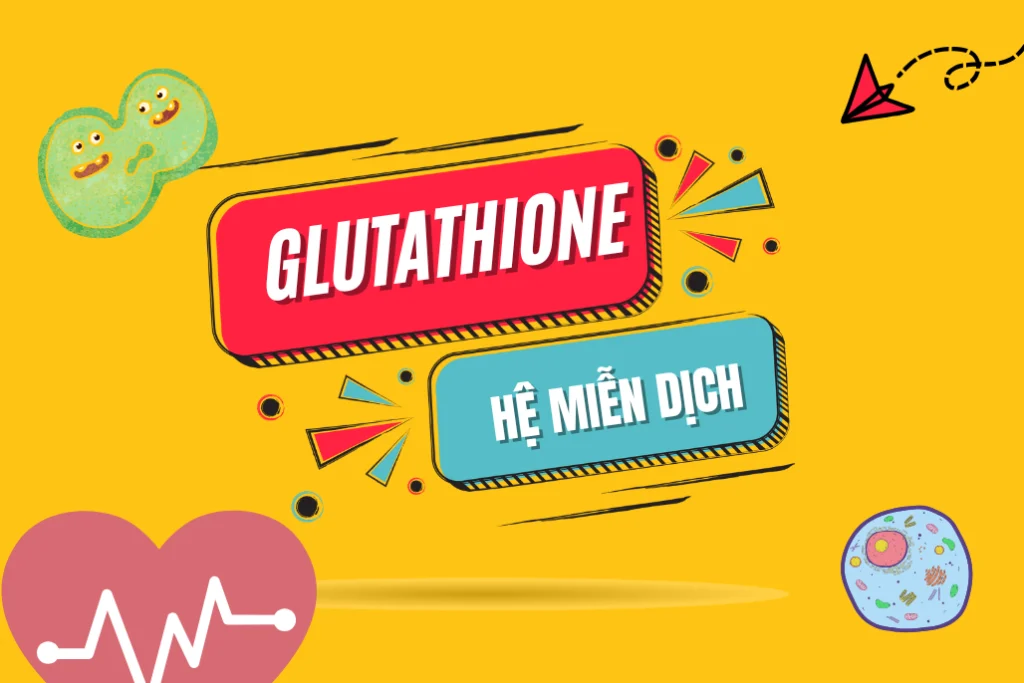 Tác dụng của glutathione đối với hệ miễn dịch và sức đề kháng 1 Glutathione và hệ miễn dịch có mối quan hệ gì?