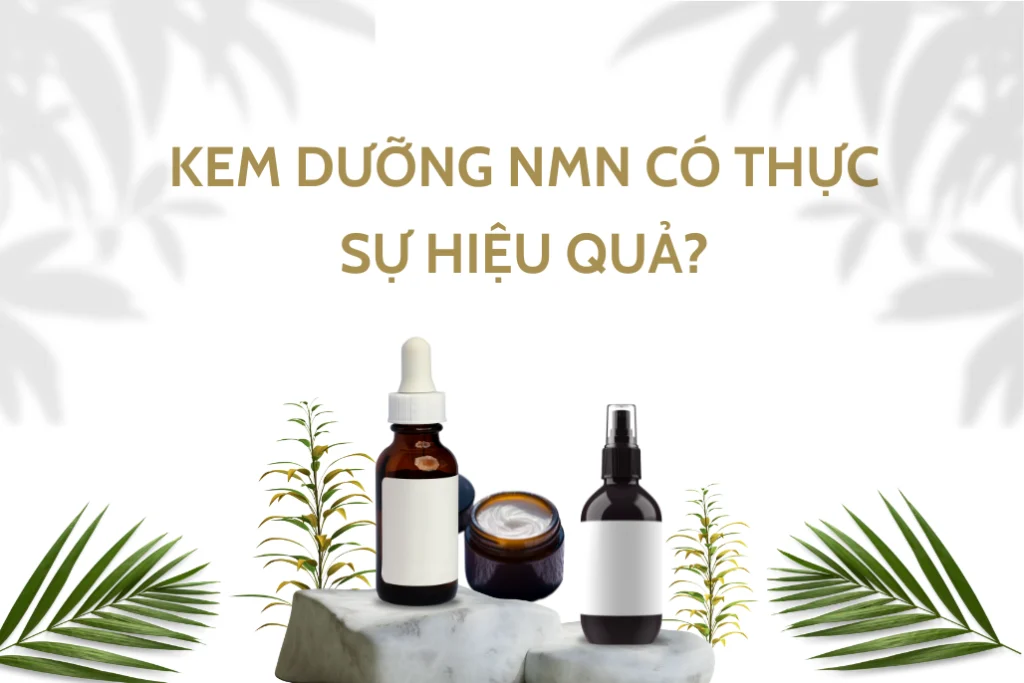 Kem dưỡng NMN có thực sự hiệu quả?