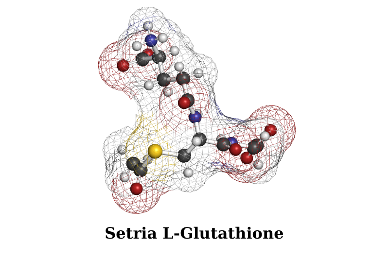 Các nghiên cứu về Setria® L-Glutathione mới nhất chuẩn khoa học 2 Setria® L-Glutathione là gì?
