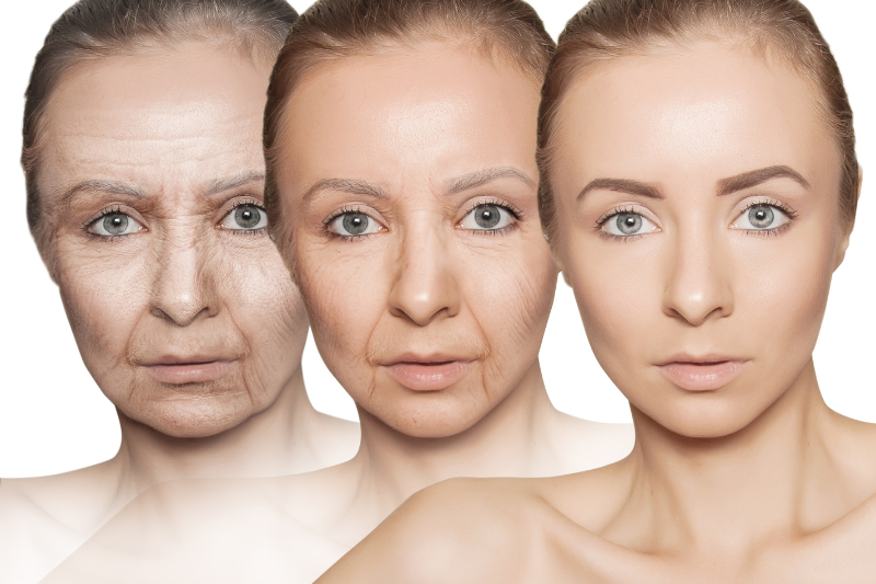 Phục Hồi Collagen: Nên Uống Gì, Bôi Kem Gì Hiệu Quả? 4 Lão hóa da do thiếu hụt collagen