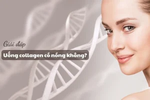 uong collagen co bi nong khong 1