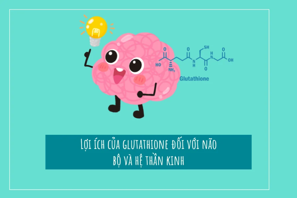 Lợi ích của glutathione và hệ thần kinh, chức năng não bộ 1 Lợi ích của glutathione và hệ thần kinh, chức năng não bộ