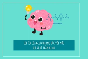 Lợi ích của glutathione và hệ thần kinh, chức năng não bộ