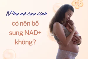 Phụ nữ sau sinh có nên bổ sung NAD+ không, tại sao?