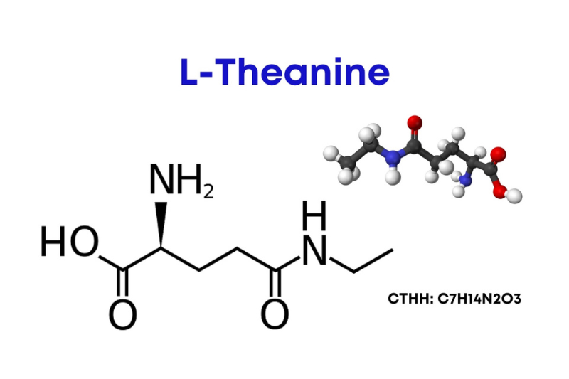 Tác dụng của Theanine tới việc cải thiện giấc ngủ sâu 2 L-Theanine giúp tăng sóng alpha, hạ nồng độ cortisol, cân bằng chất dẫn truyền