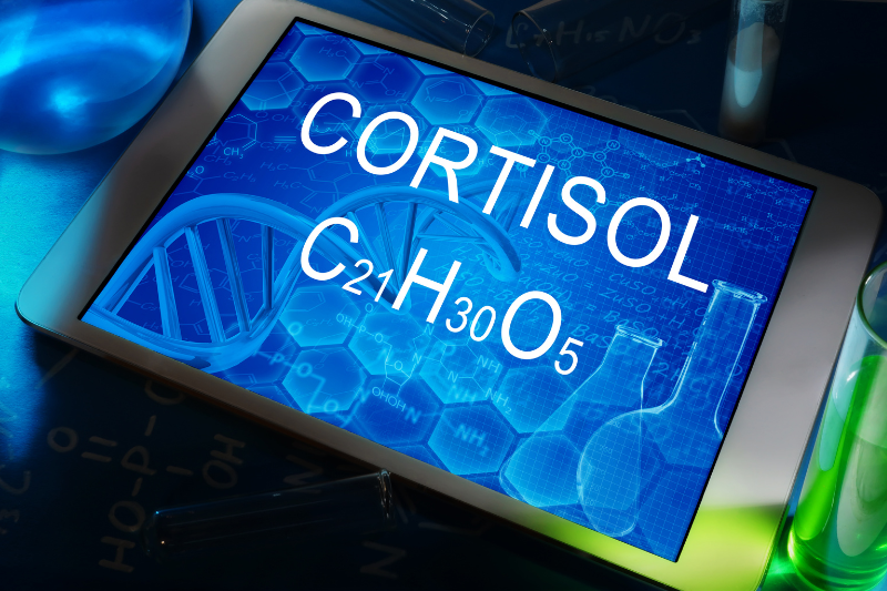 Hormone Cortisol