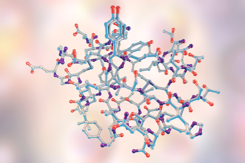 Hormone Insulin