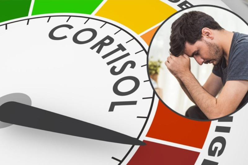Magie giúp ngủ ngon khi cortisol giảm về mức cân bằng