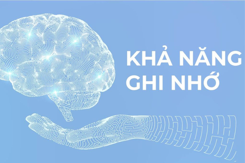 Giấc ngủ và chức năng não bộ có mối liên hệ mật thiết với nhau, đặc biệt là trong việc củng cố trí nhớ và nâng cao khả năng học tập
