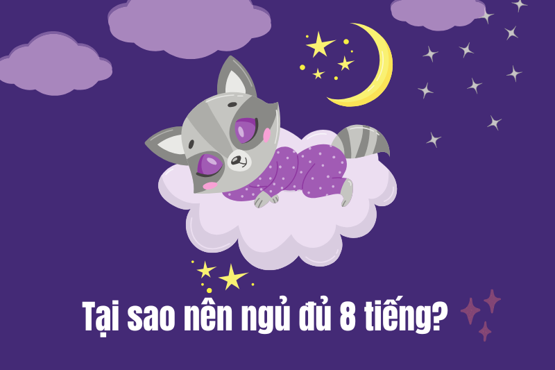 Vì sao nên ngủ đủ 8 tiếng mỗi ngày