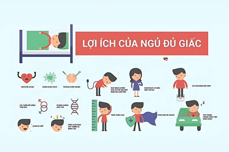 Ngủ đủ 8 tiếng mới đáp ứng đủ nhu cầu của cơ thể