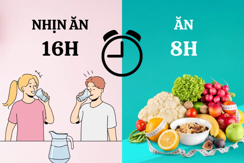 Khi nhịn ăn trong một khoảng thời gian nhất định, cơ thể sẽ điều chỉnh một loạt hoạt động sinh học nhằm thích nghi với tình trạng thiếu năng lượng.